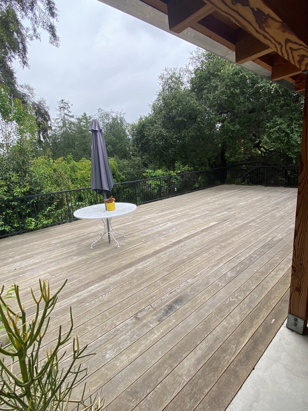 Clear Sealing of Deck in Pasadena, CA September 2023